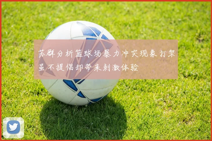 苏群分析篮球场暴力冲突现象打架虽不提倡却带来刺激体验