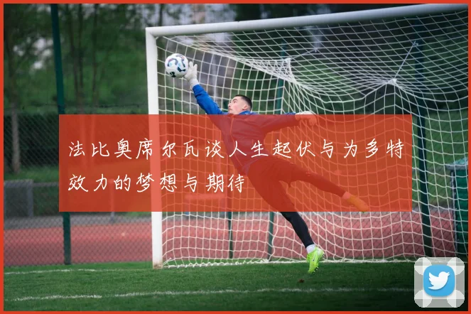 法比奥席尔瓦谈人生起伏与为多特效力的梦想与期待